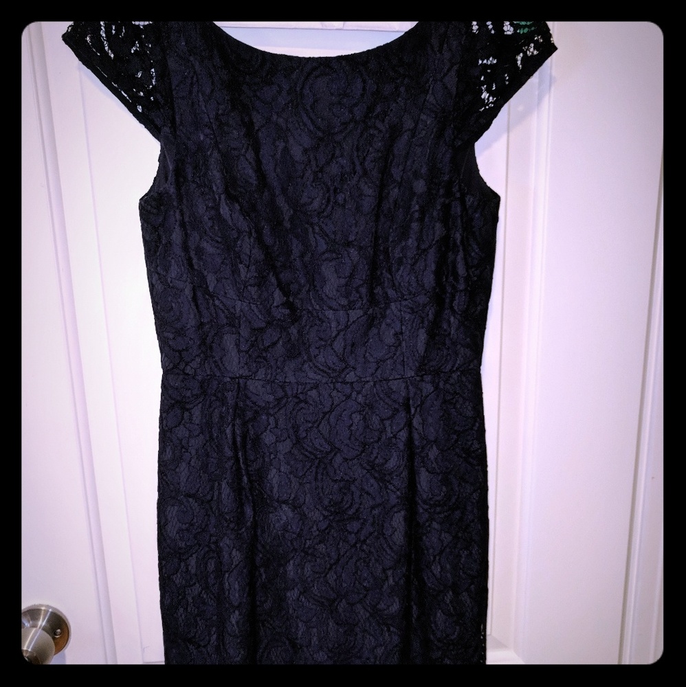 J. Crew Elsa dress in Leavers Lace